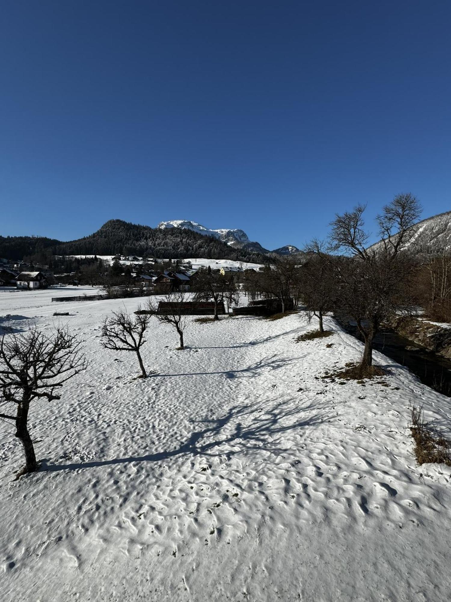 Heli'S Holiday Suites, 8992 Altaussee, Suites "Dachstein", "Sarstein", "Trisselwand" Værelse billede